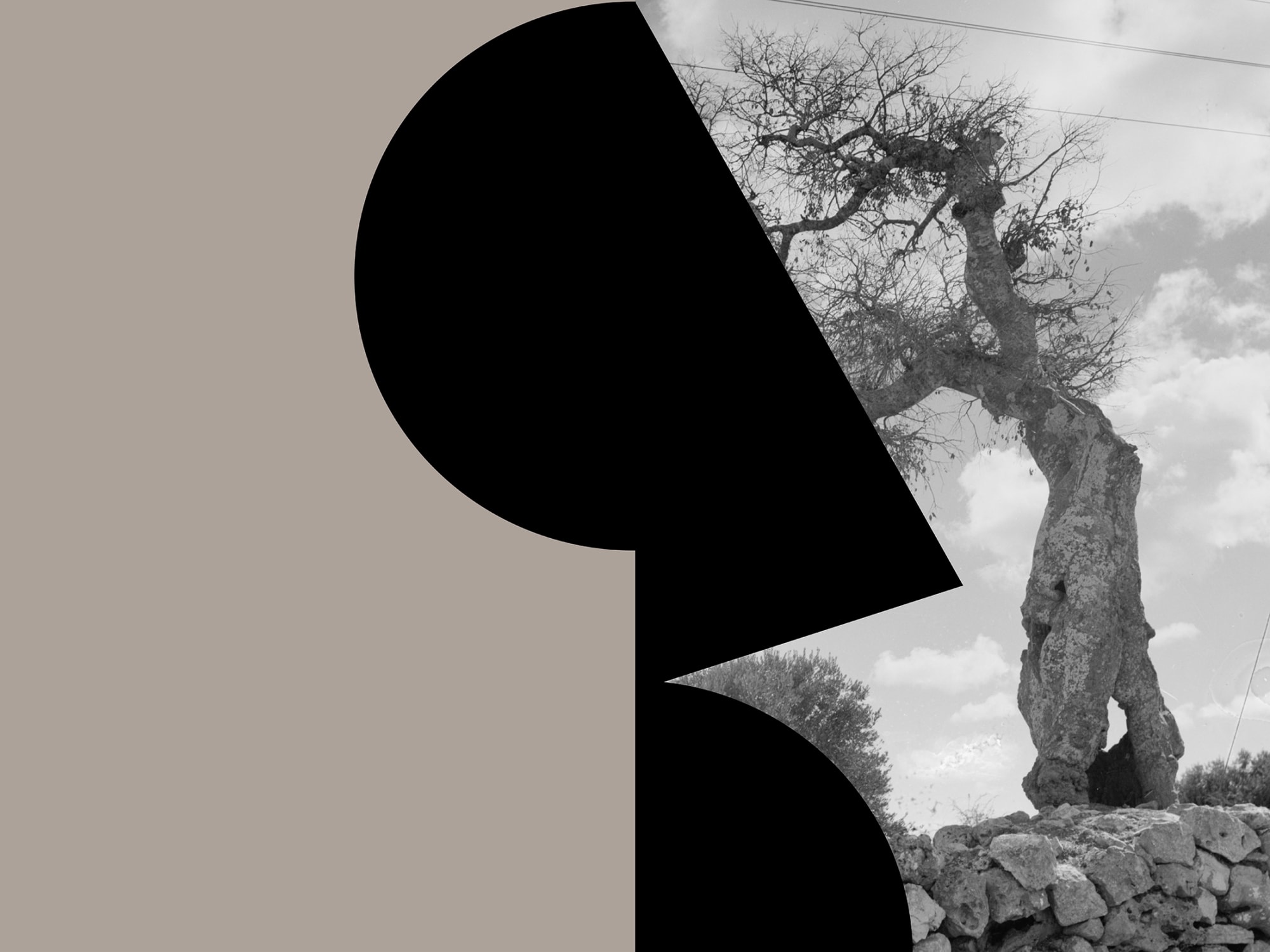 Hazem Harb, Paradise Lost #9, 2020