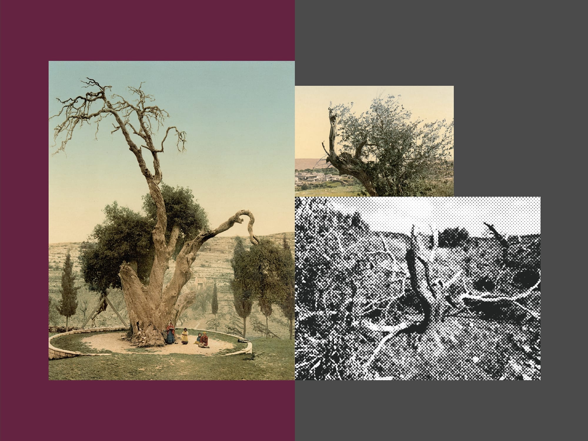 Hazem Harb, Paradise Lost #1 Ed. of 3 + 1 AP, 2020