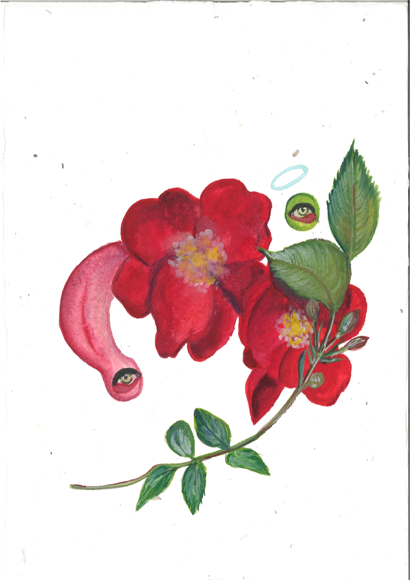 Alymamah Rashed, Mirrors from the Sidewalks (A Pilgrimage from Turkey