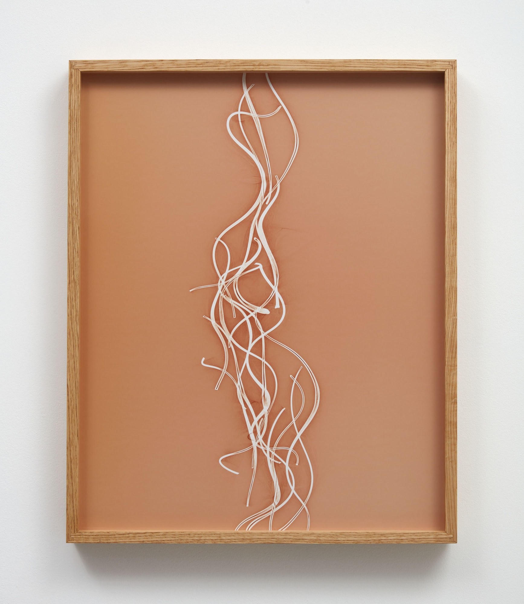 Kelly Akashi, Untitled as yet, 2020