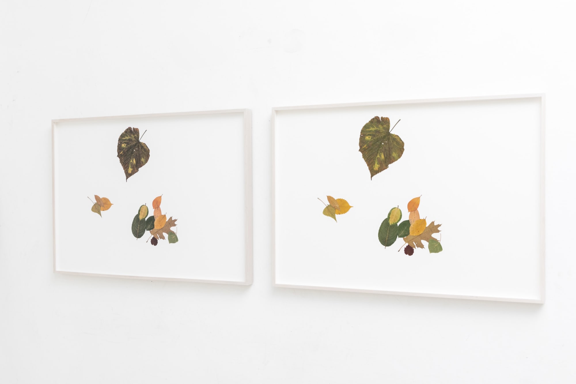 Tomás Saraceno, Silent Autumn 24042021... (Triptych) TBC, 20212022 Tanya Bonakdar Gallery