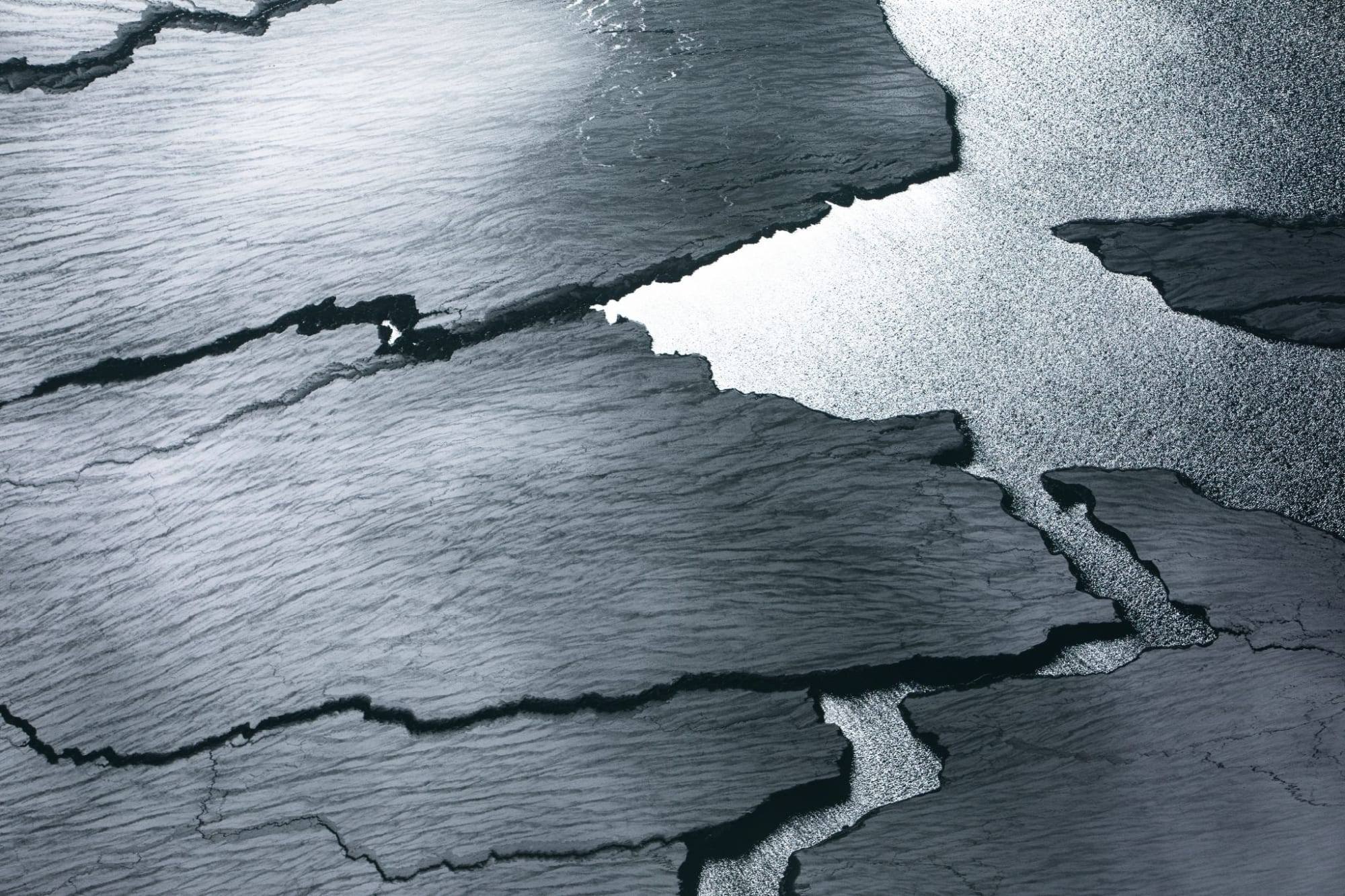 Tuck Fauntleroy, Elements IX, ed. 1/7, 2017-2019