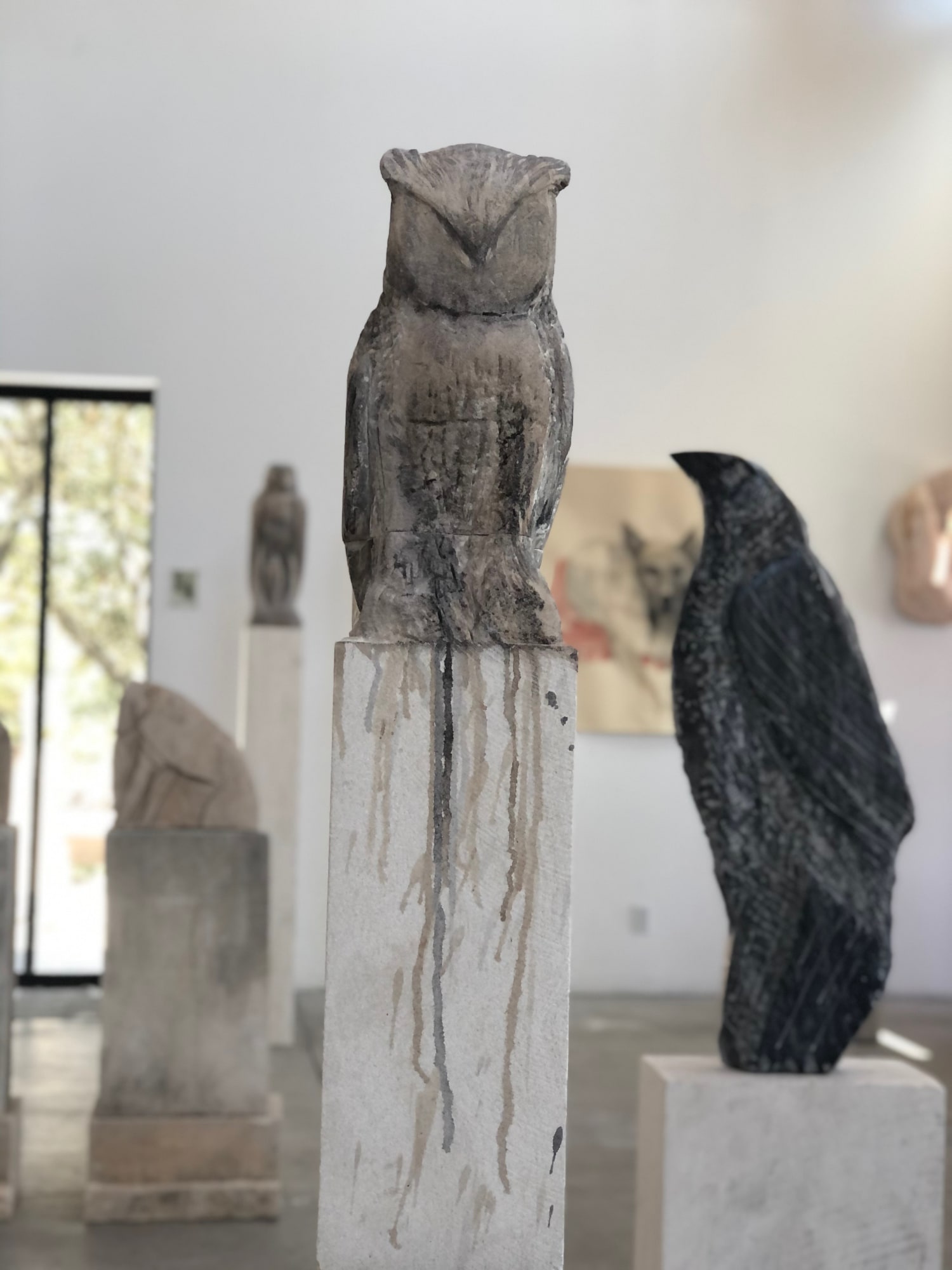 Jane Rosen, Great Horned Owl (GHO), 2020