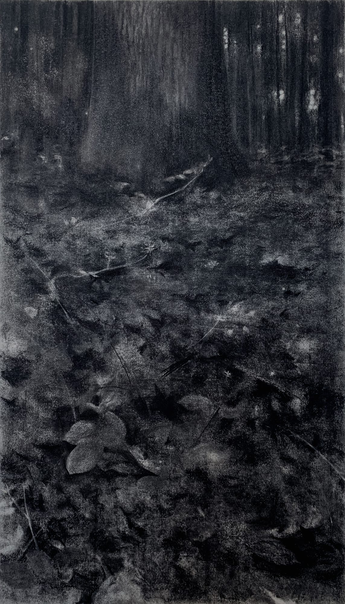 Jeffrey Blondes, 20-06D Bois de Mametz 00h17m00s, 2020