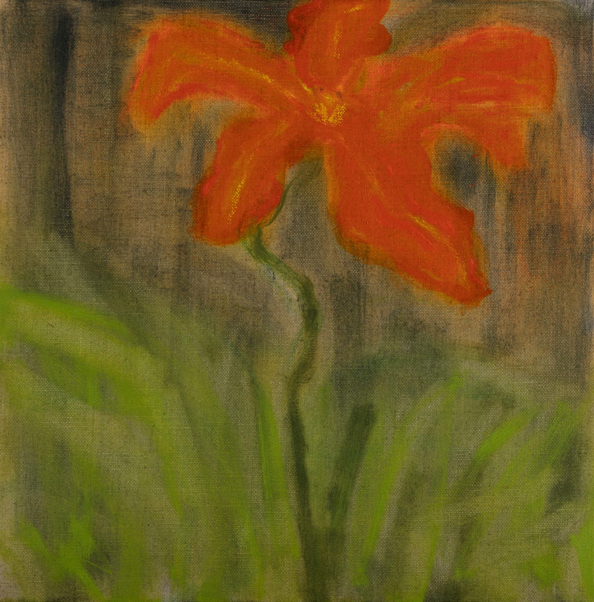 Kathryn Lynch, Orange Flower, 2021