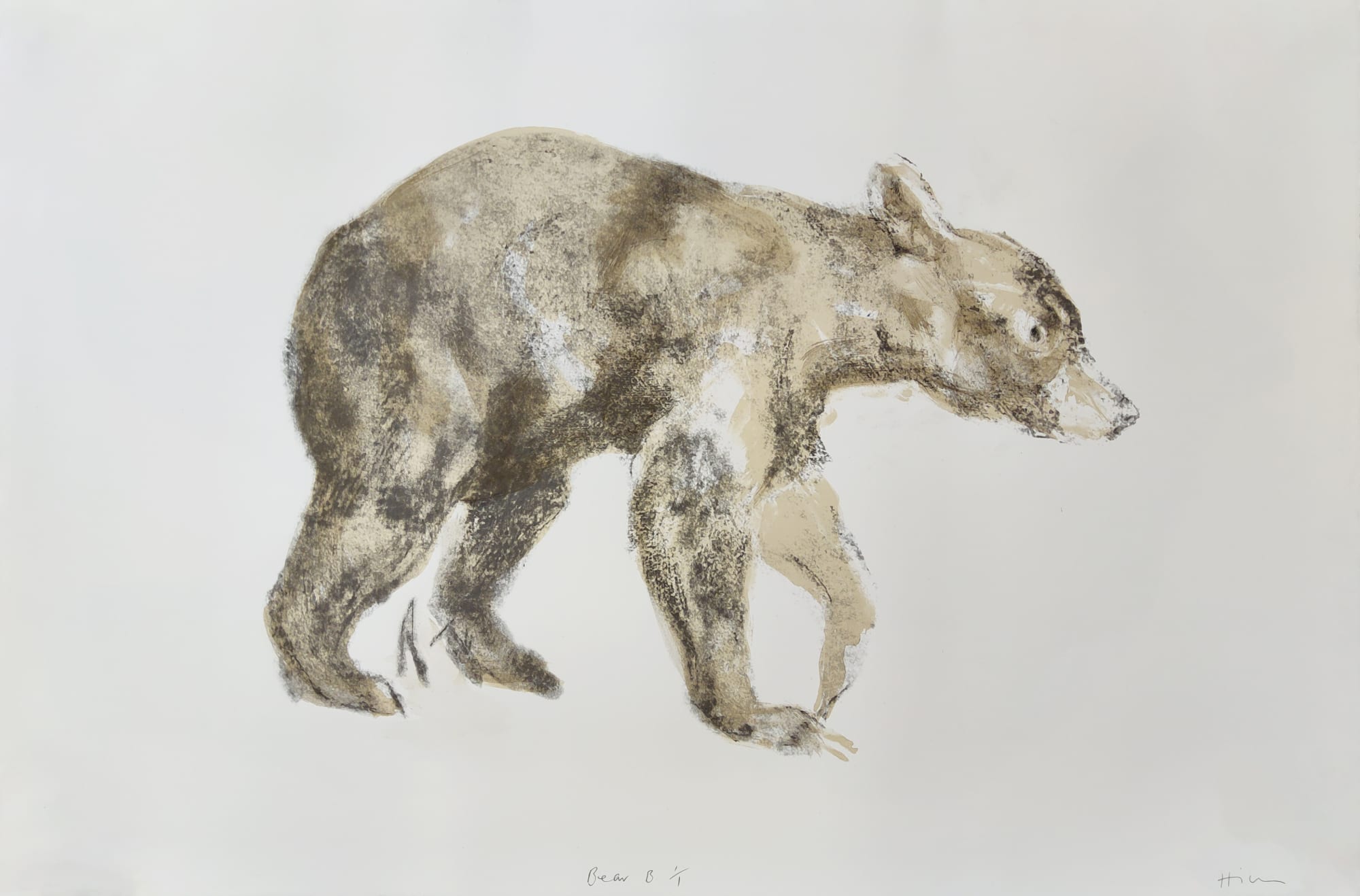 Nicola Hicks, Bear B 1/1, 2023