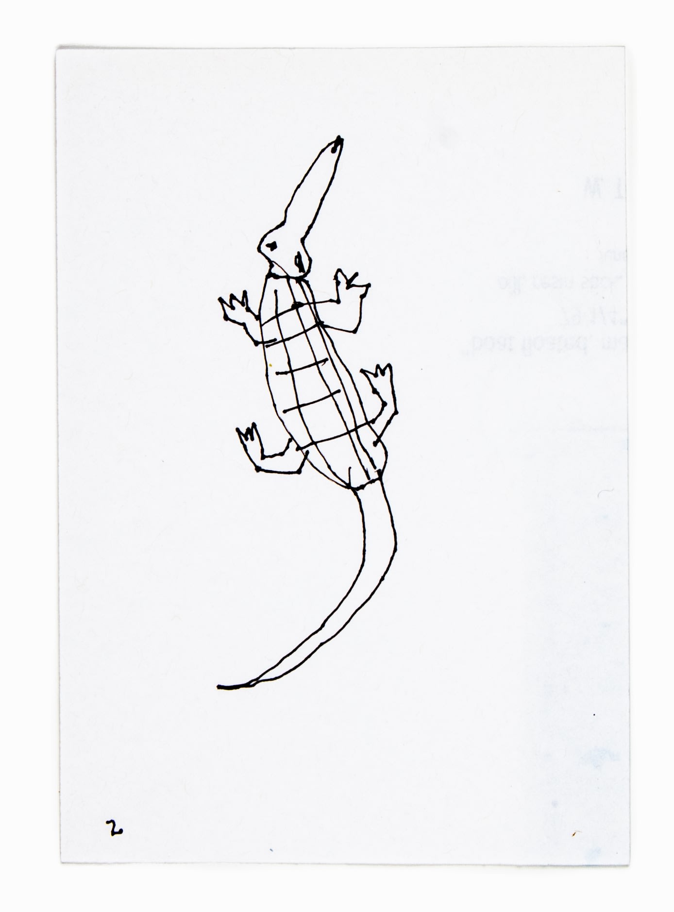 W. Tucker, gator (2), 2021