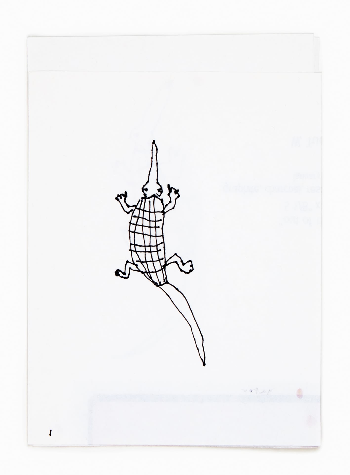 W. Tucker, gator (1), 2021