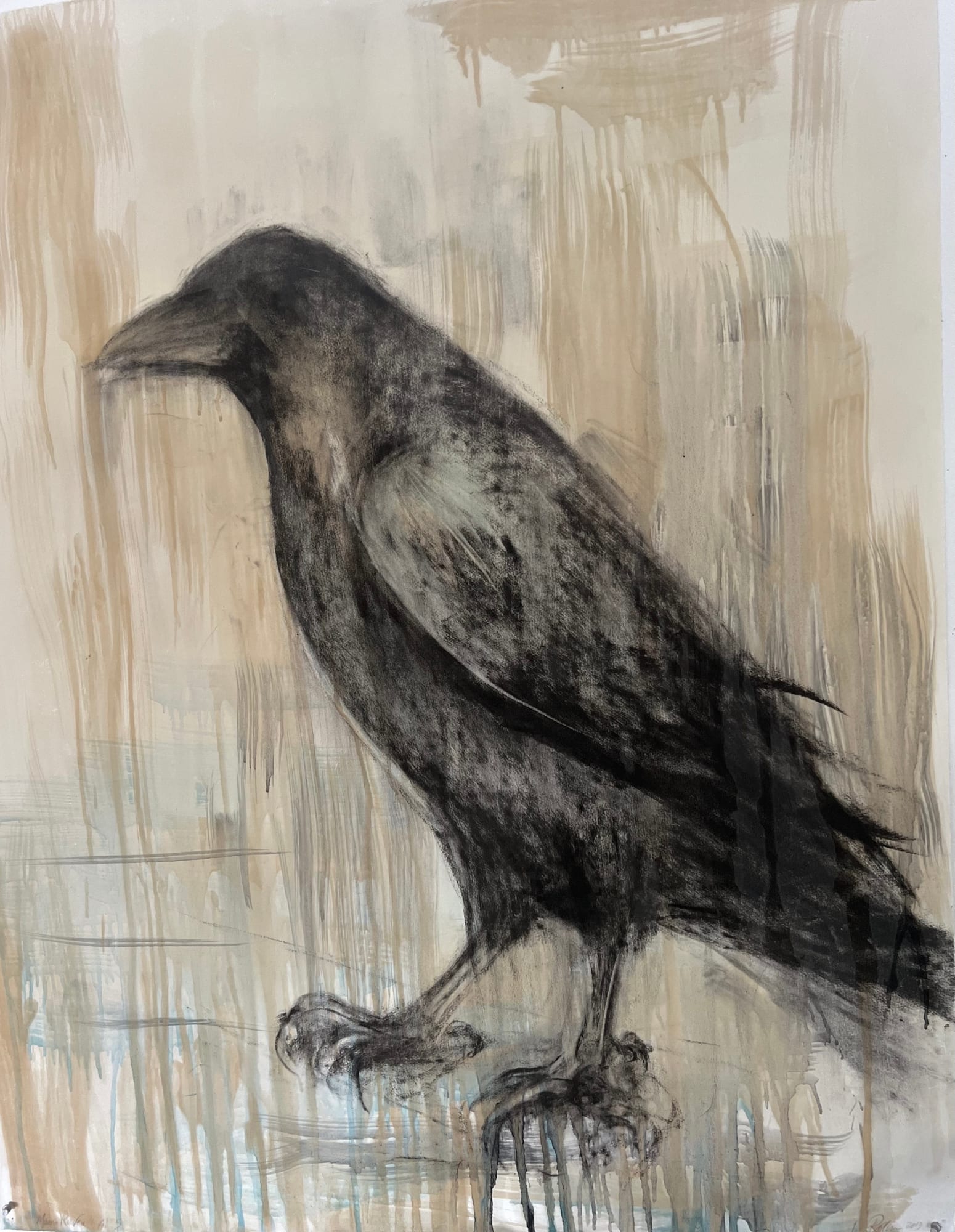 Jane Rosen, Summer Raven, 2023