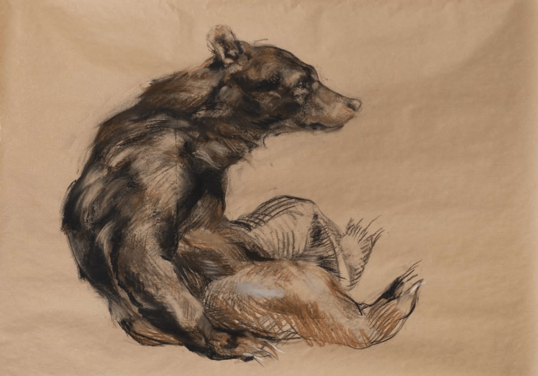 Nicola Hicks, Bear Sitting, 2019