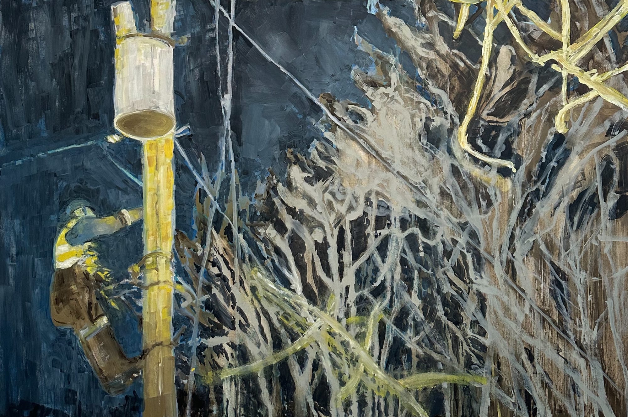 Bernadette Kiely, The Linesman, 2024