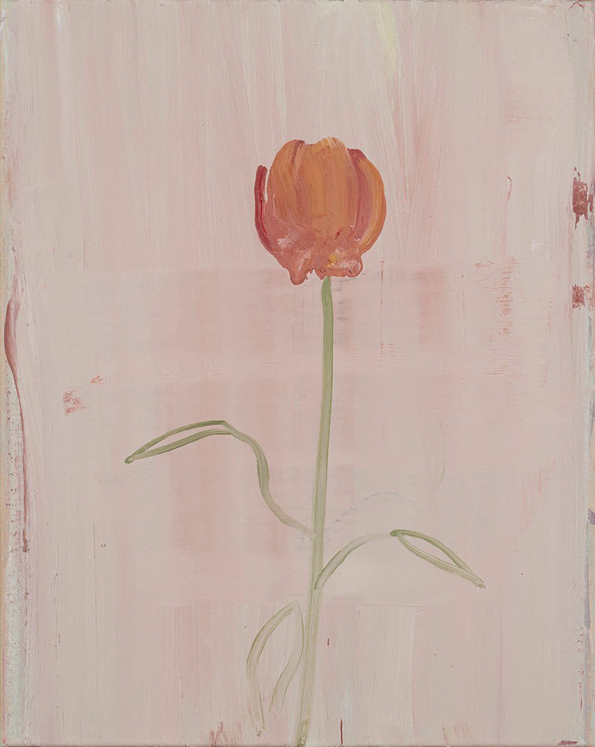 Pat Harris, Bloom, oil on linen, 2022