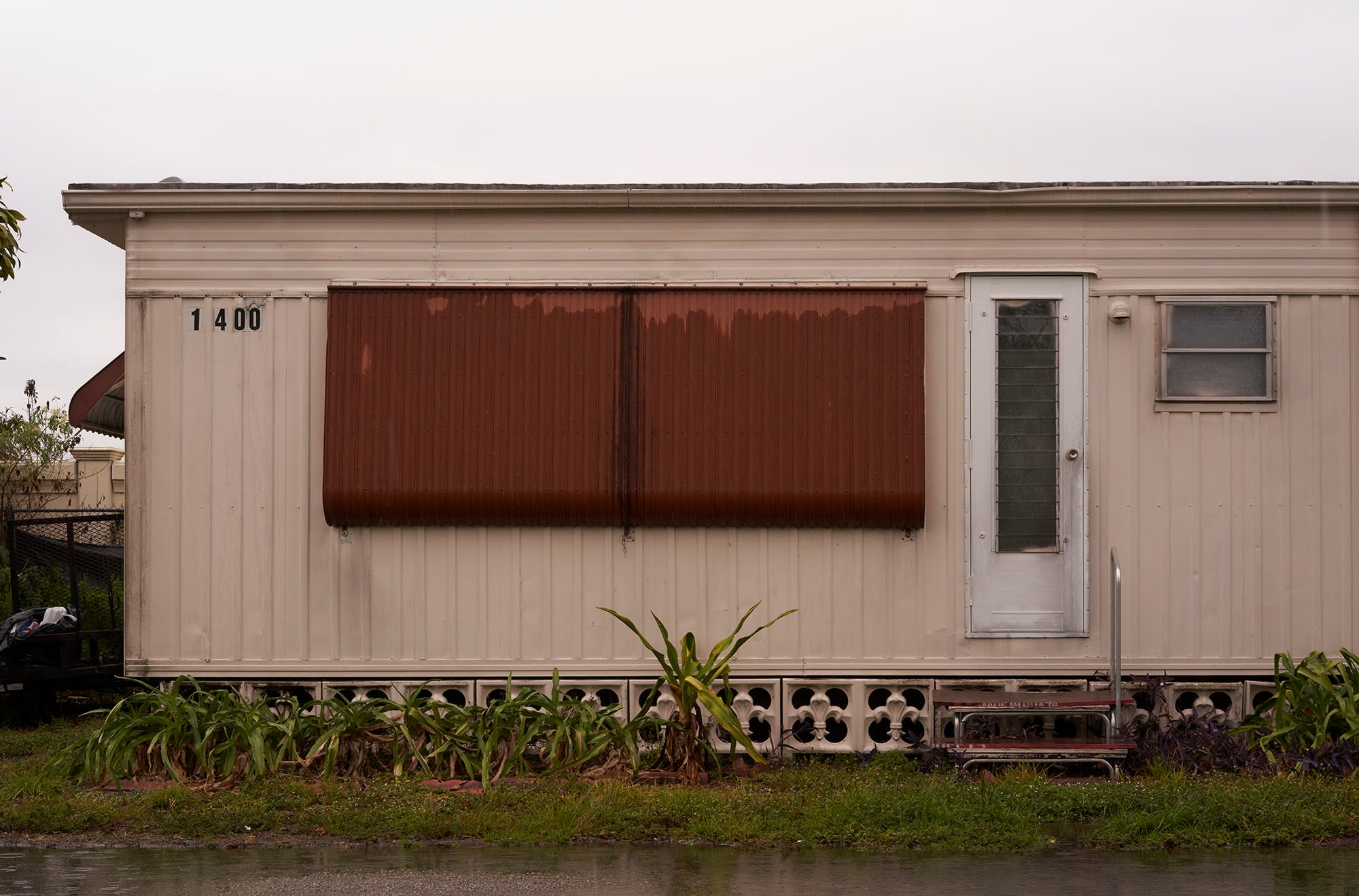 Diego Waisman, Untitled - Topology 2-4, 2019