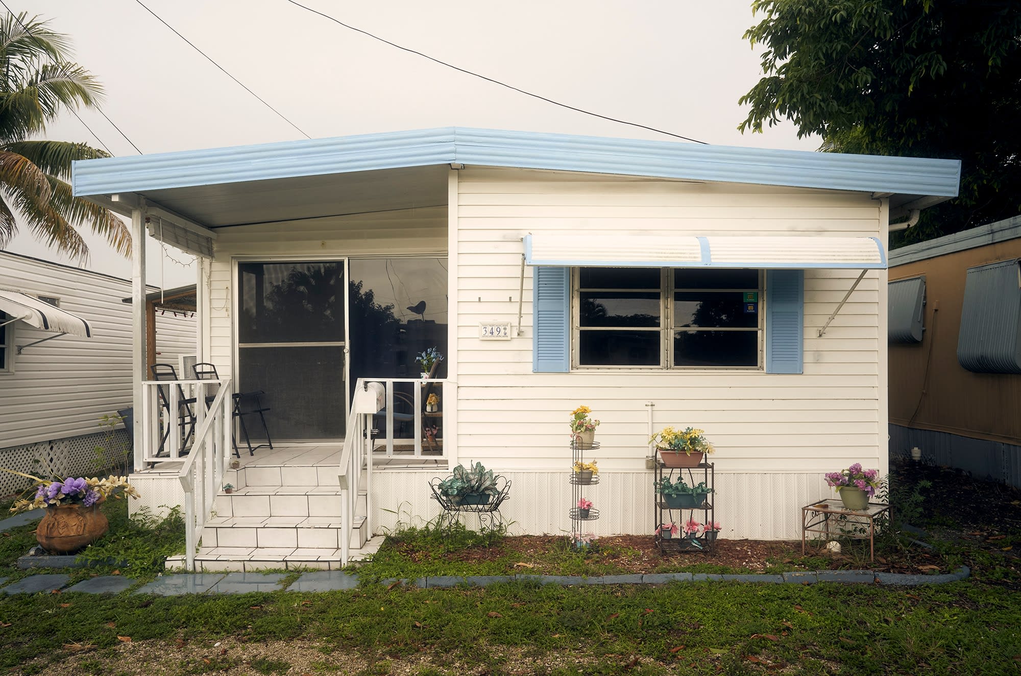 Diego Waisman, Untitled - Topology 1-2, 2021