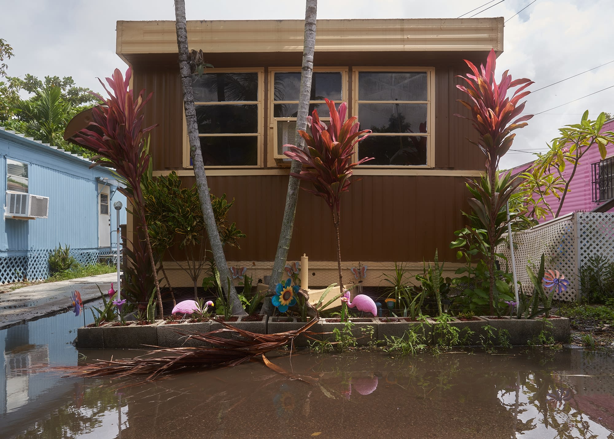 Diego Waisman, Untitled - Topology 2-2, 2021