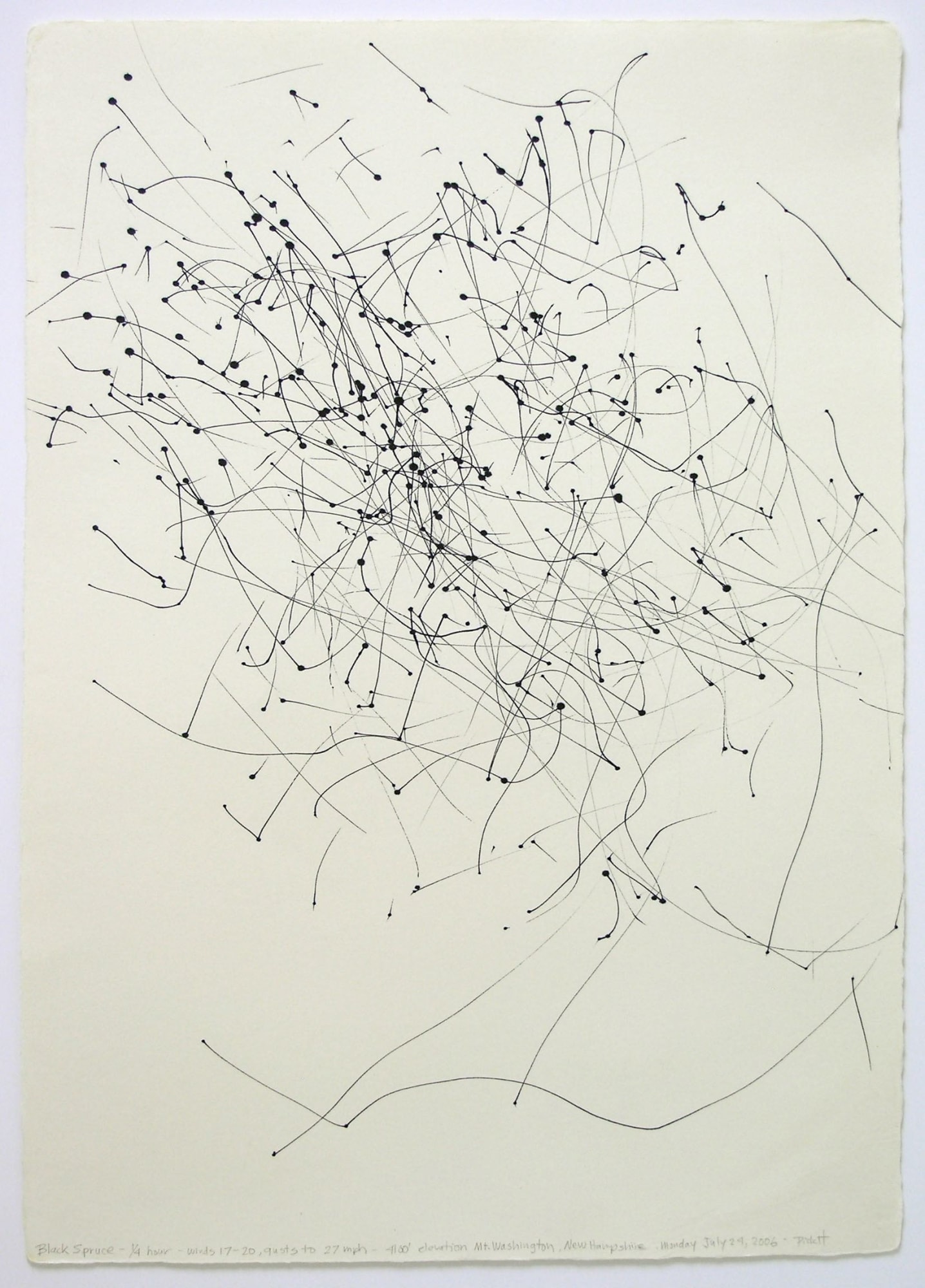 Pat Pickett Black Spruce - 1/4 hour - winds 17-20 - gusts to 27 mph - 4100' elevation Mt. Washington, New Hampshire Monday July 24, 2006 Signed lower right ink on paper 18 x 12 1/2 inches 20 9/16 x 15 5/16 inches framed