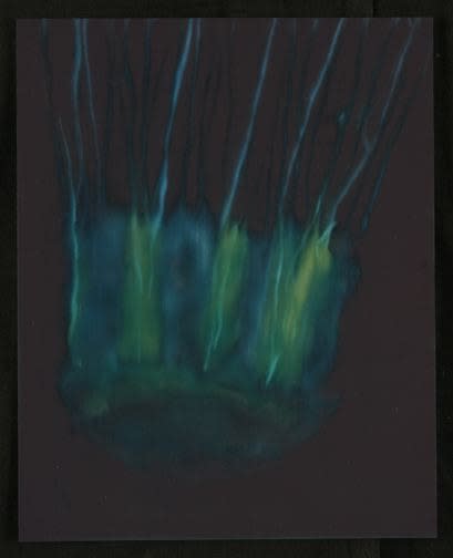 Jill Musnicki Jellyfish, 2005 signed and dated verso oil on panel 10 x 8 inches