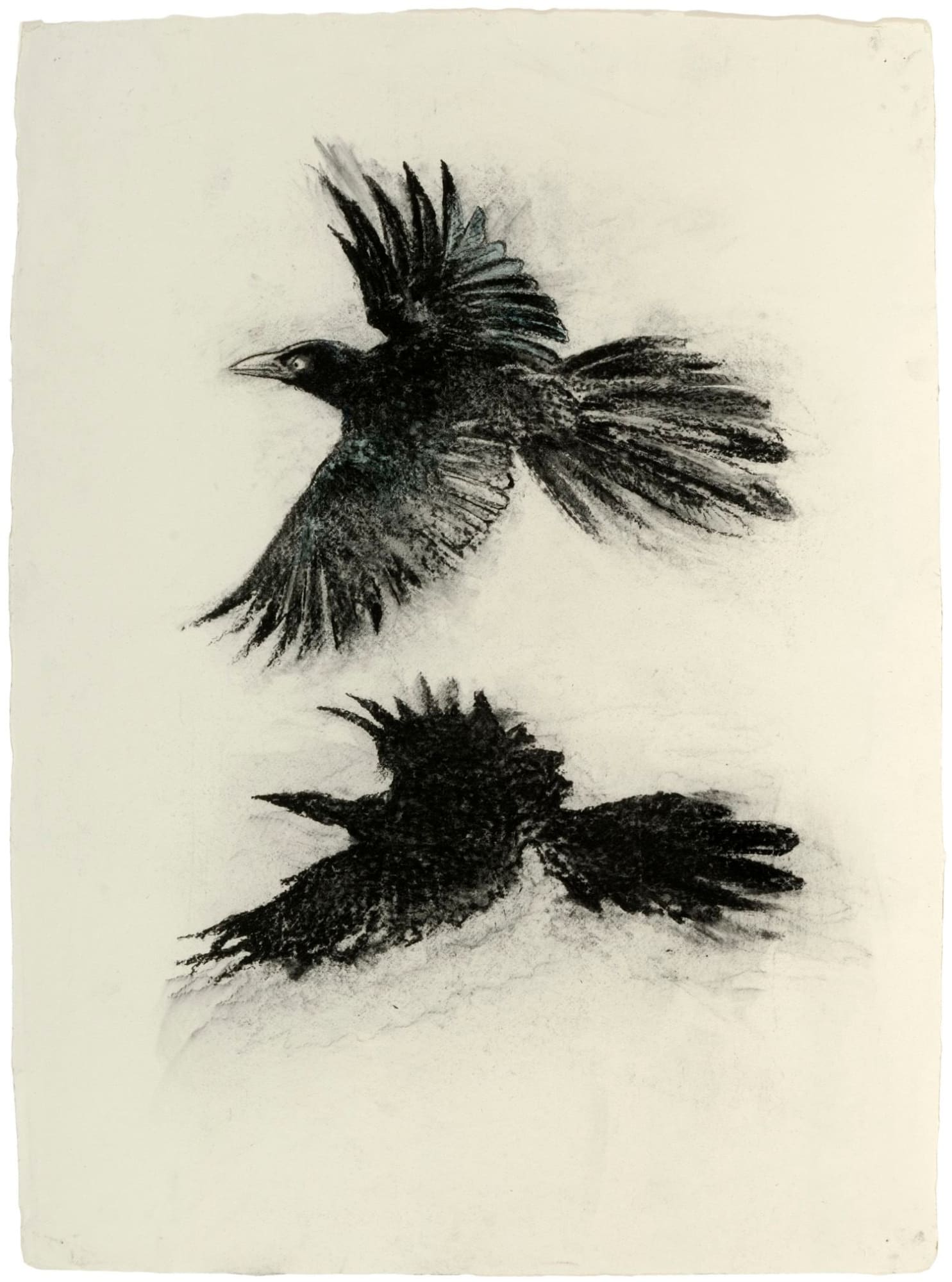 John Alexander Shadow, 2008 signed verso charcoal on paper 30 1/4 x 22 1/4 inches 35 x 27 1/4 inches framed