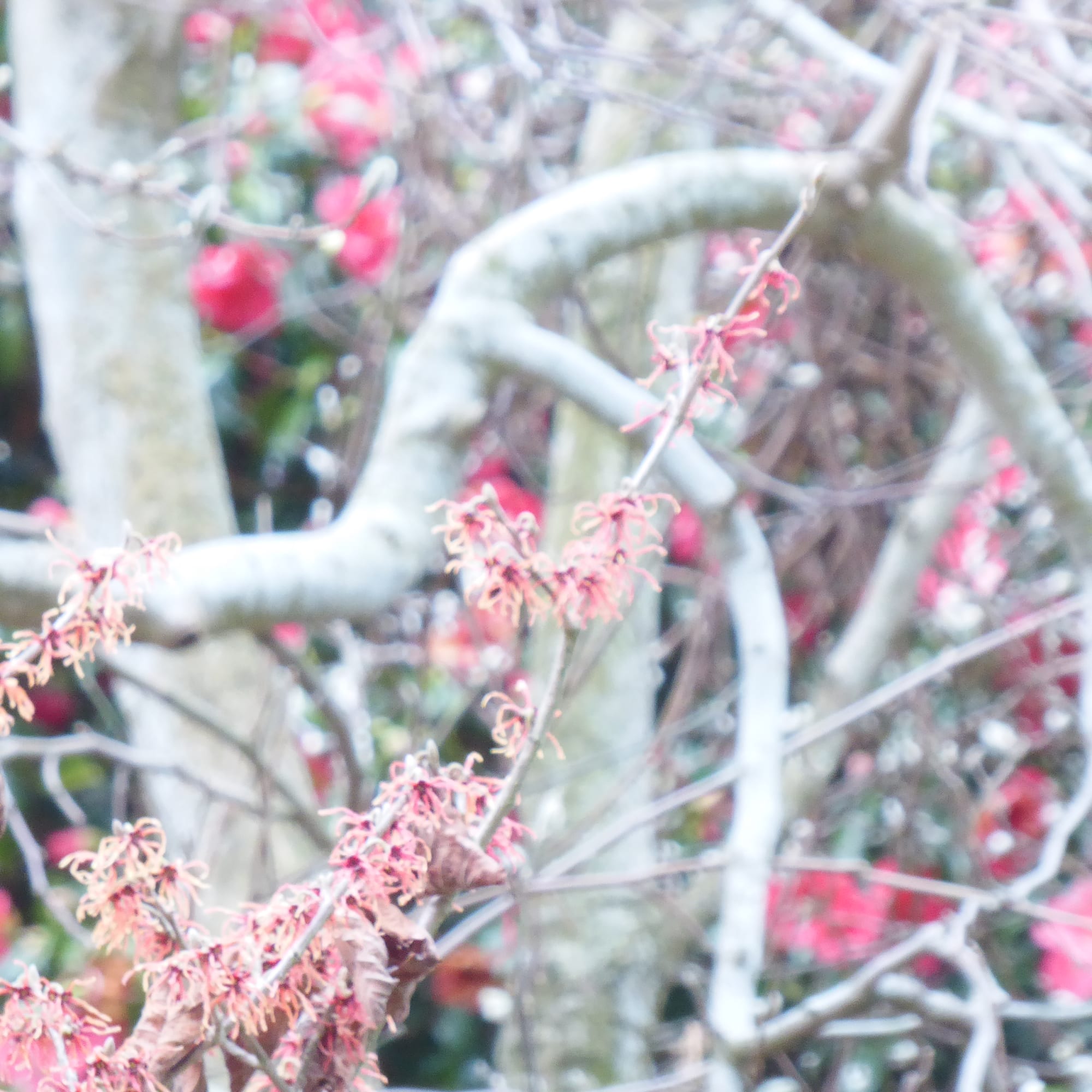 Kim Pieters, Untitled 2A, 2021