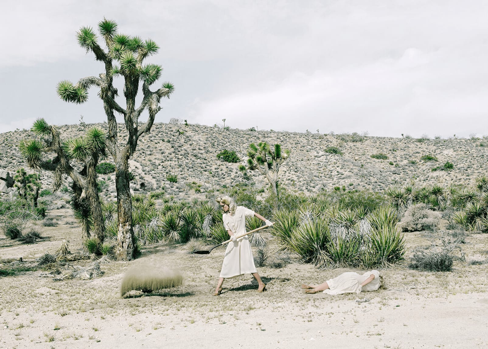 Anja Niemi, Darlene & Me; The Desert, 2014