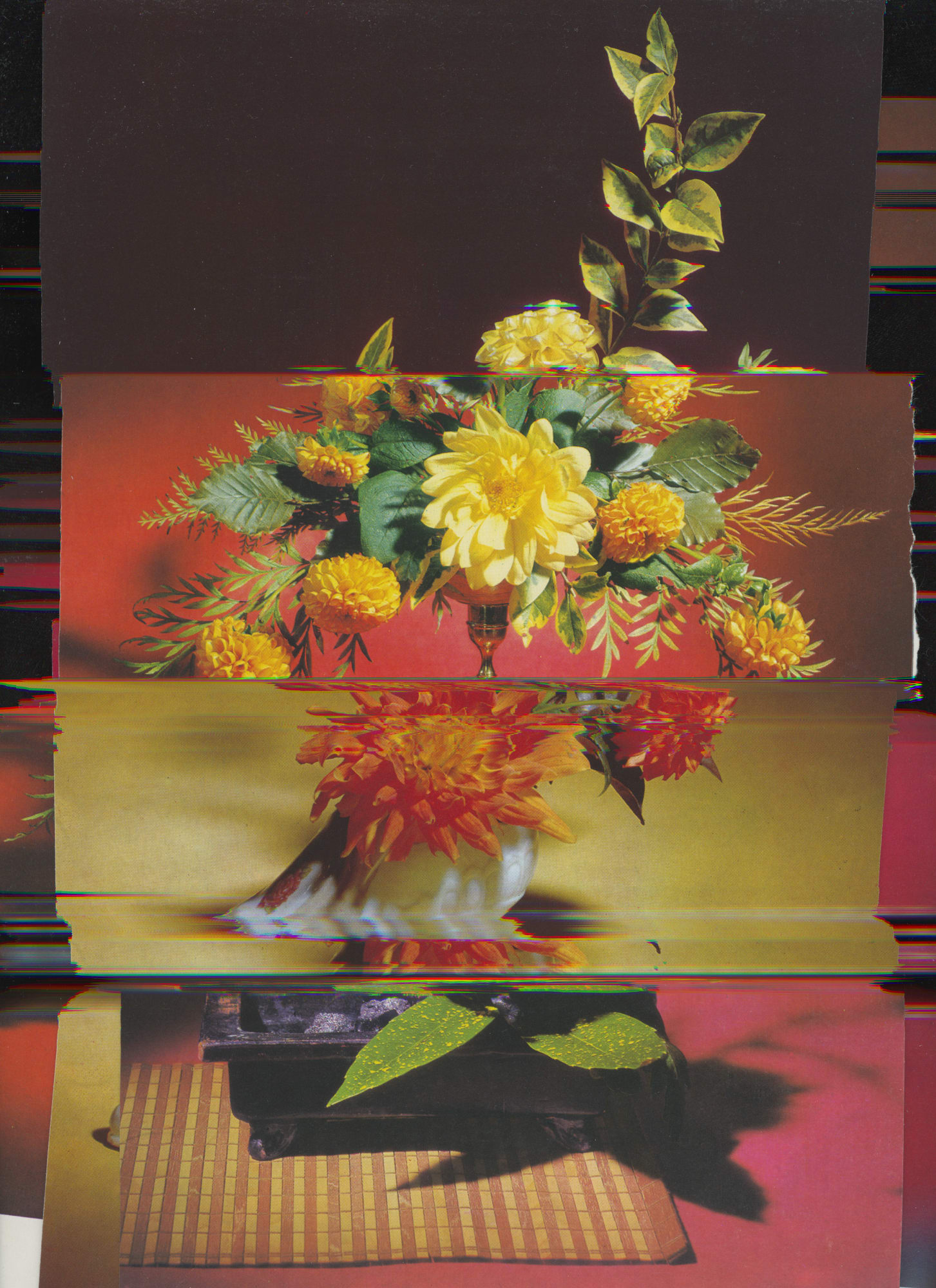 Nico Krijno, Lockdown Collage #129, 2020