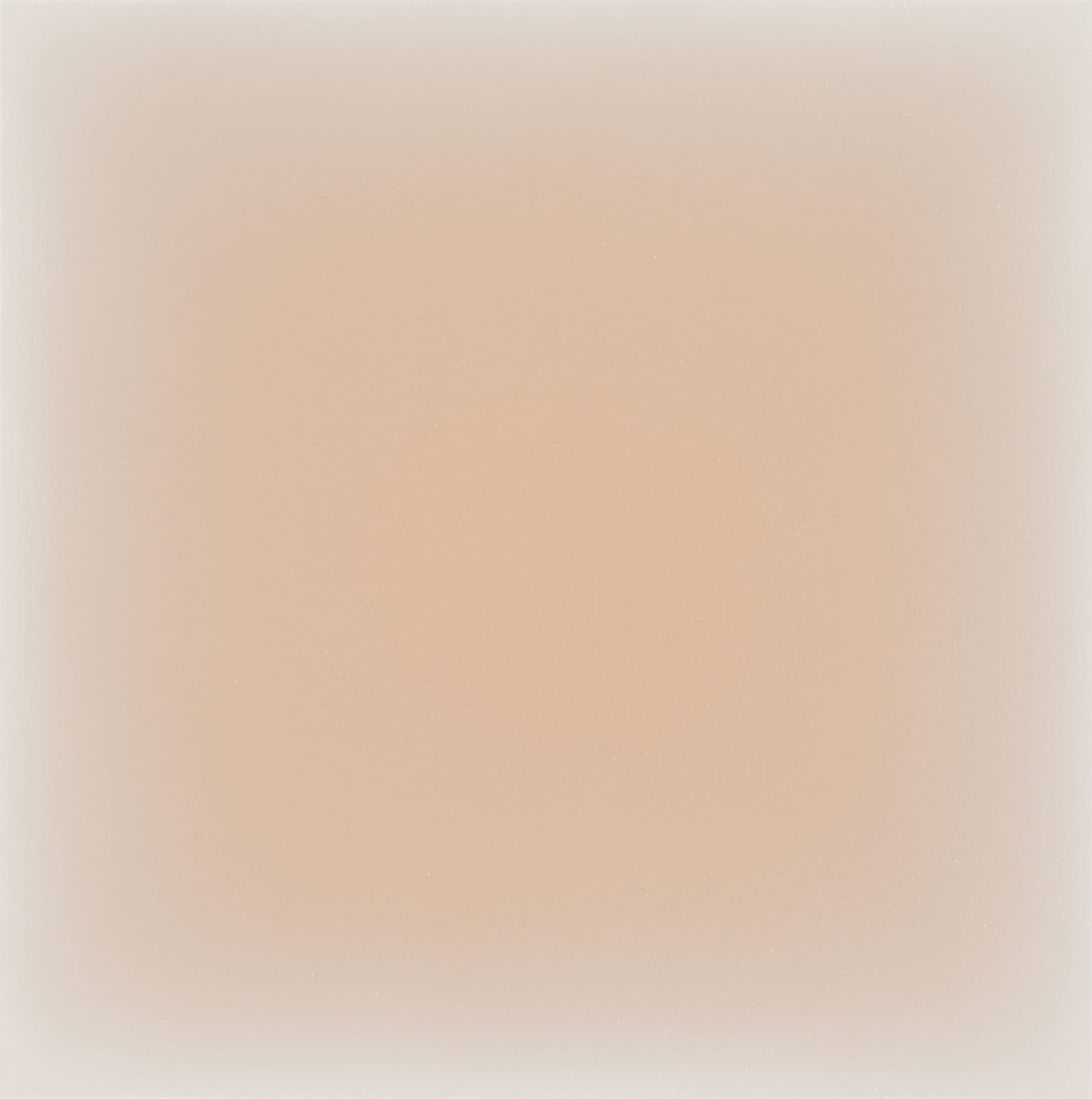 Gwen Hardie, 07.05.21, orange brown on raw umber, 2021