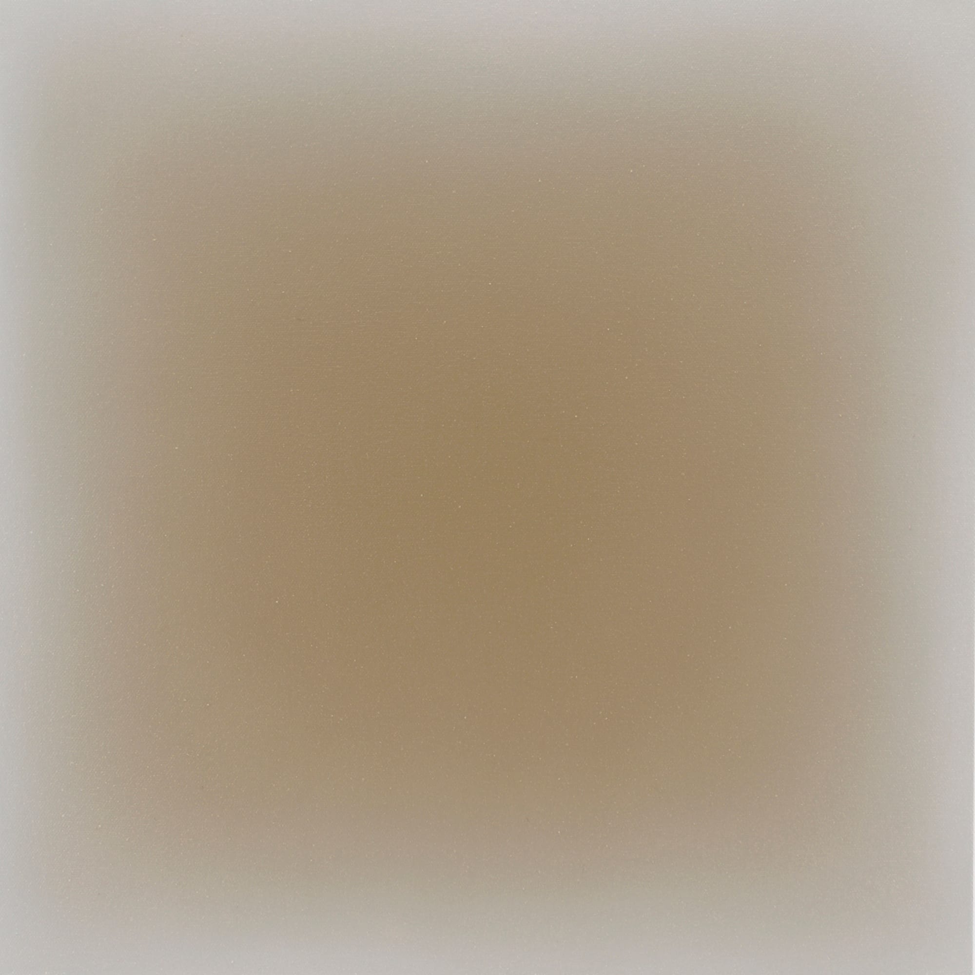 Gwen Hardie, 04.16.20 ochre brown on violet grey, 2020