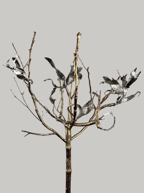 aurèce vettier, sinuiflora absurdica (imp0ssibl3 tr33/1), 2024