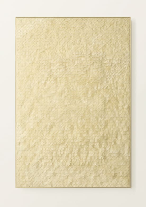 Zoé Imber, Lunaria annua, 2023