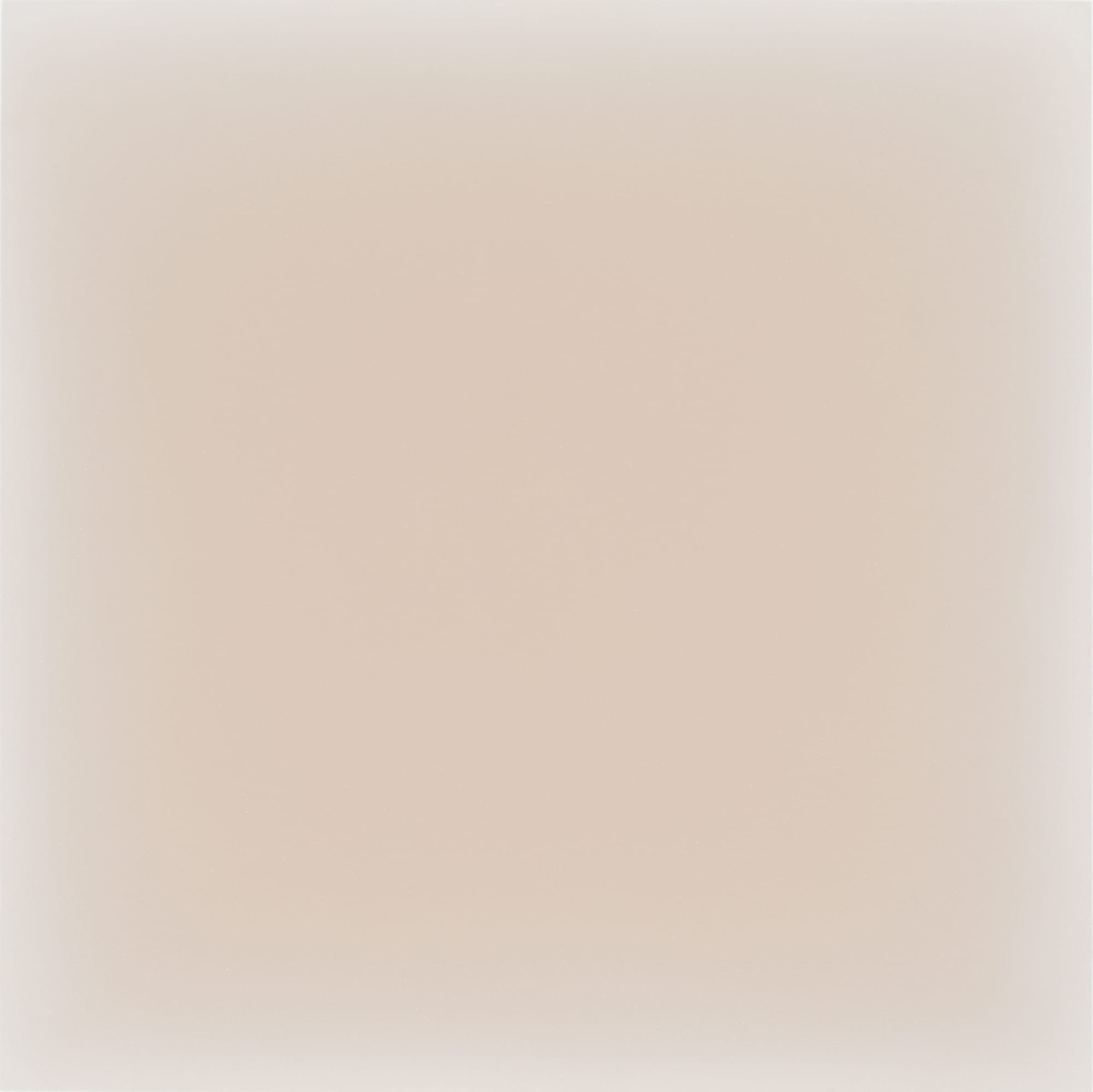 Gwen Hardie, 12.21.21, pale burnt umber and naples yellow on raw umber, 2021