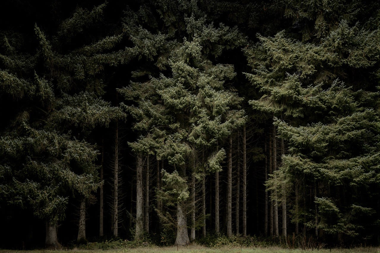 Jasper Goodall, Twilight Path 02