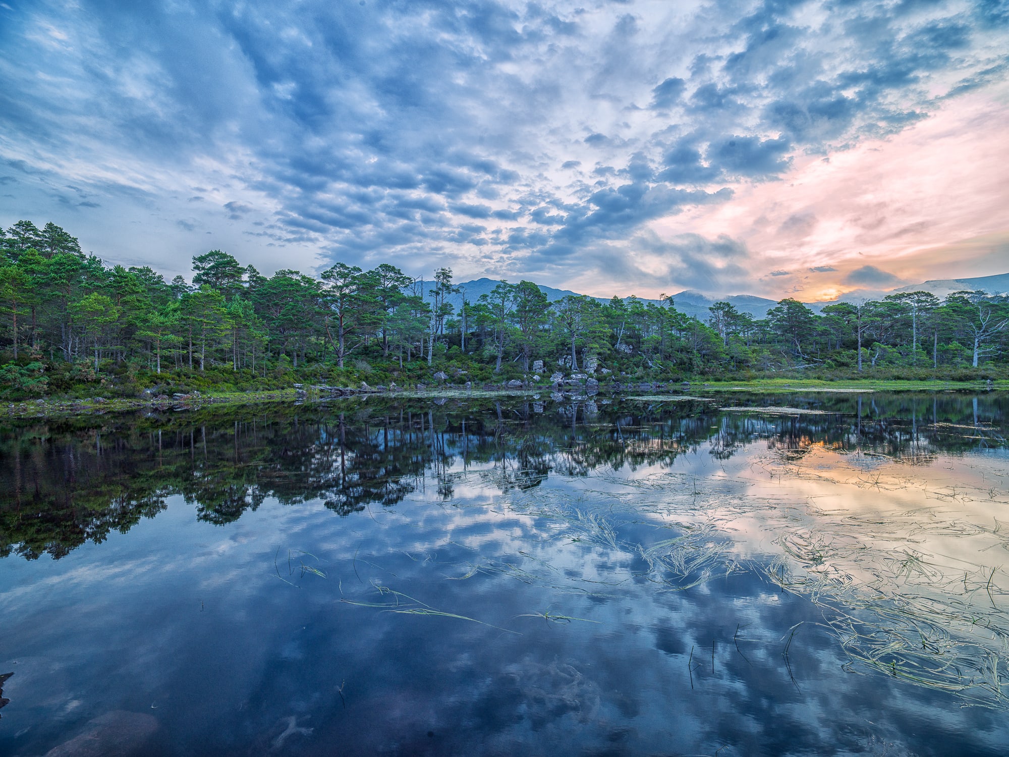 Adrian Houston, Loch Maree X Highlands, 2022