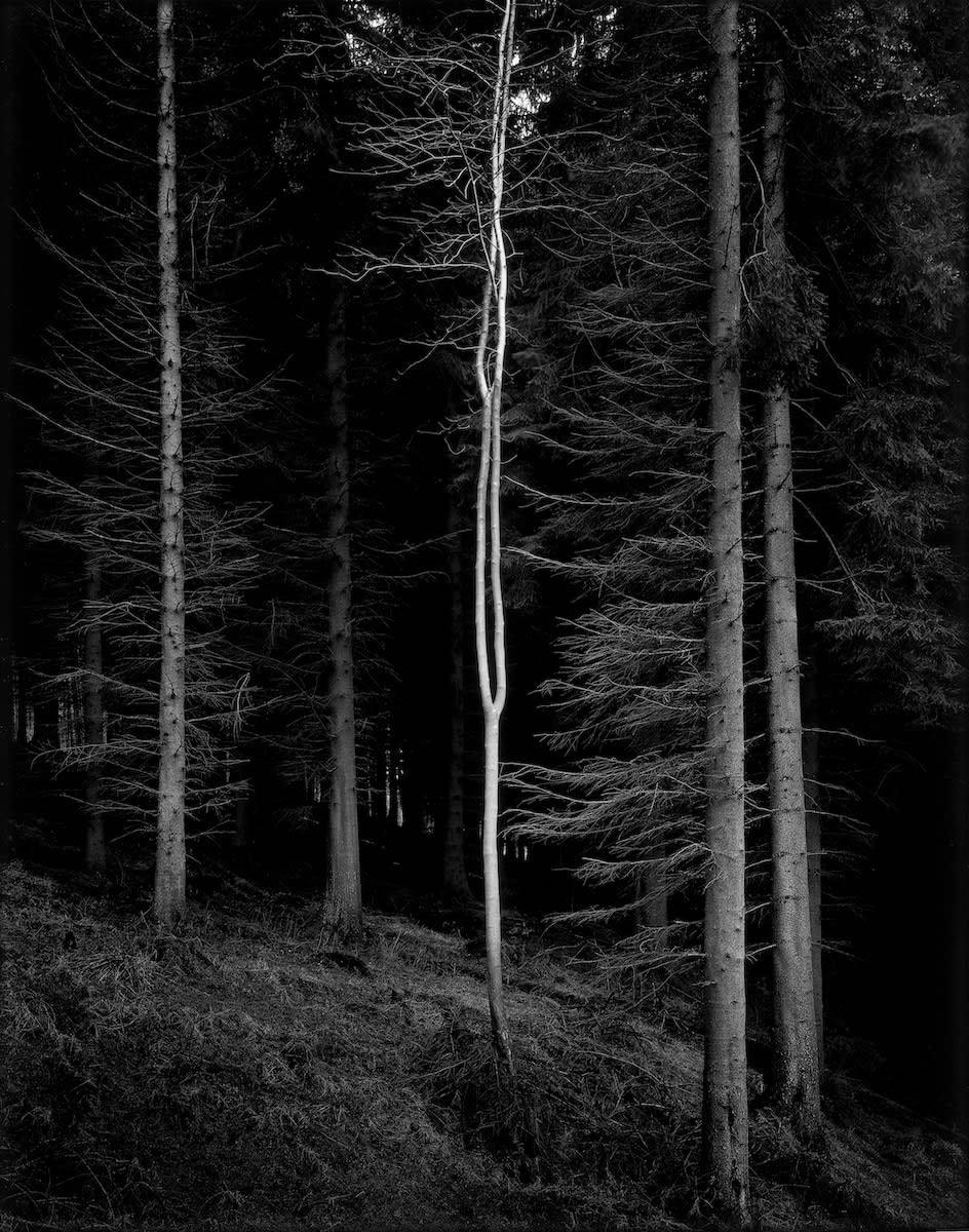 Paul Hart, Alien, 2007