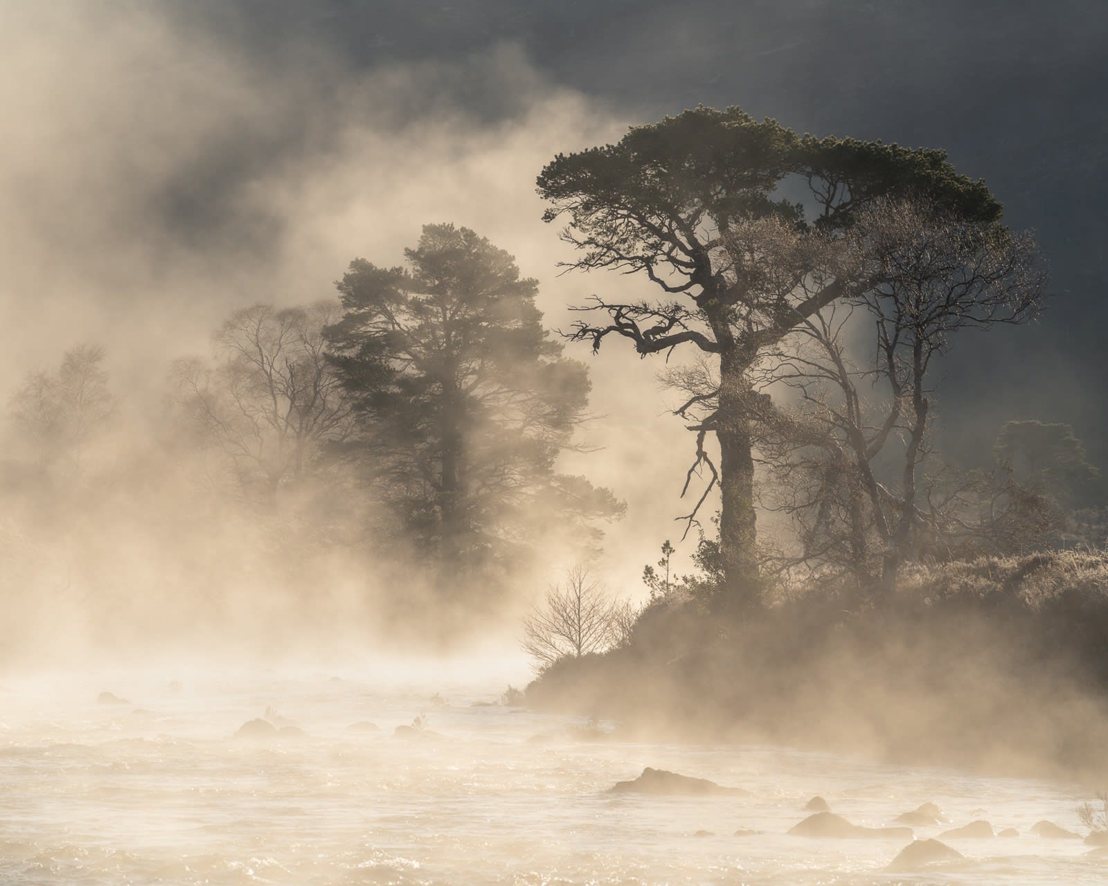 Simon Baxter, A' Ghairbhe