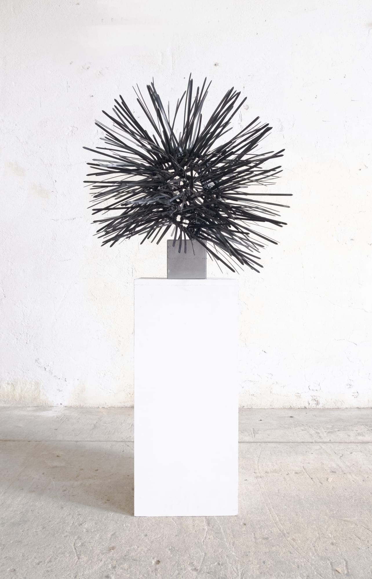 Pedro Pires, Antifragility - expansion #1, 2021