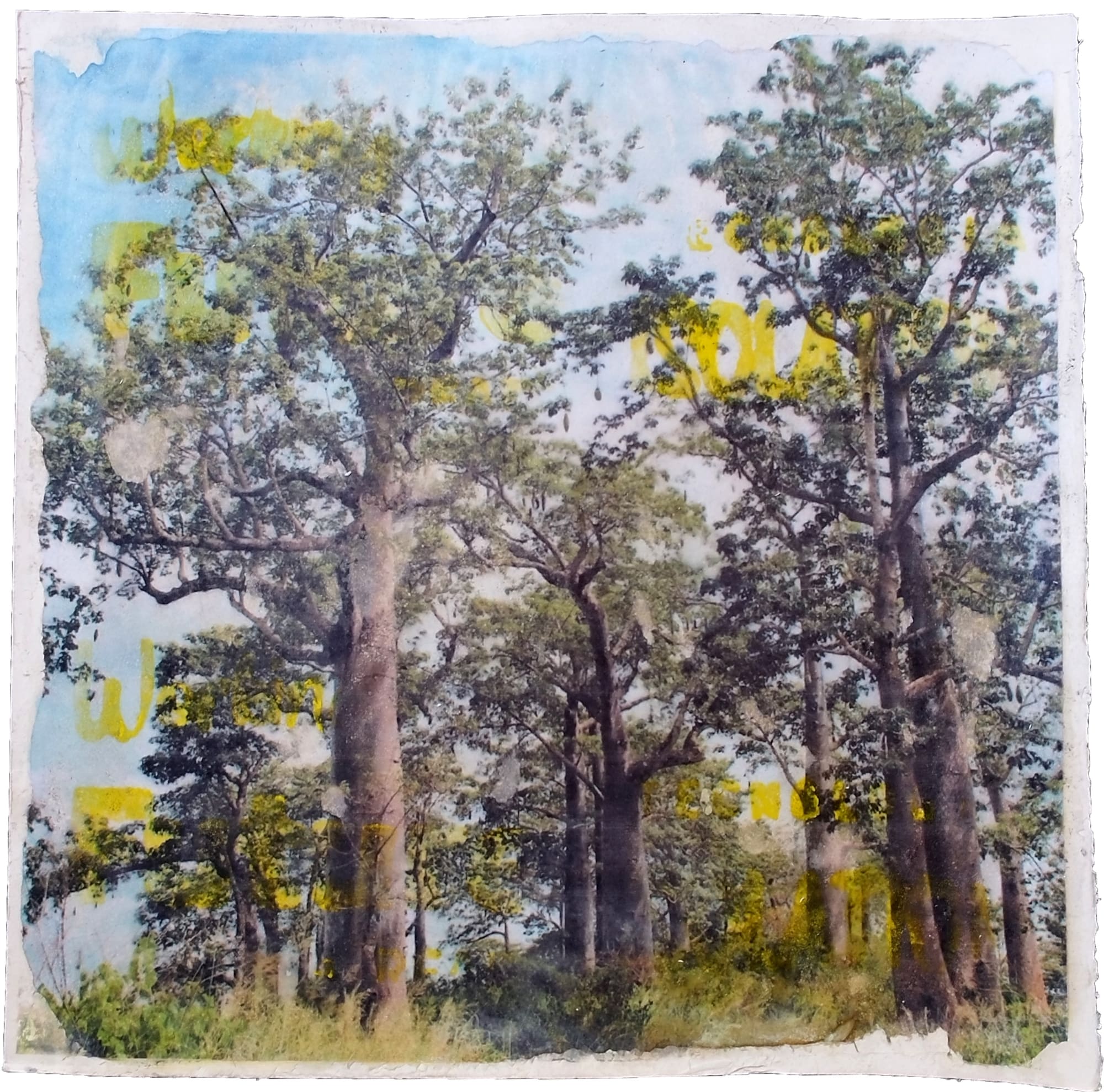 Luís Damião, Series: Quebra-Cabeça 1 #4, 2023