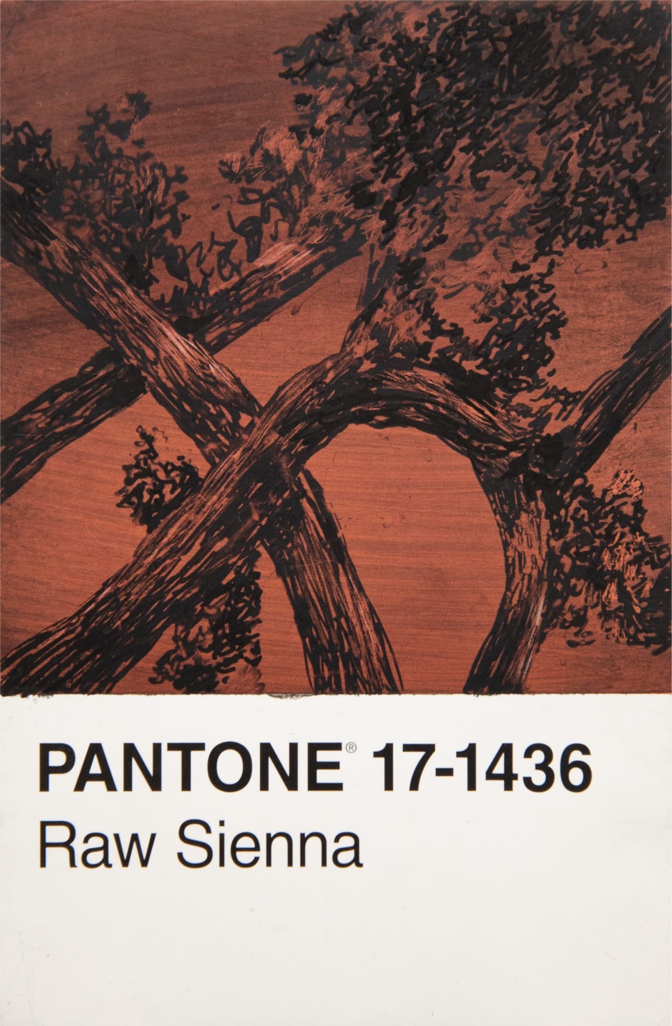 António Faria, PANTONE 17-1436 Raw Sienna, 2024
