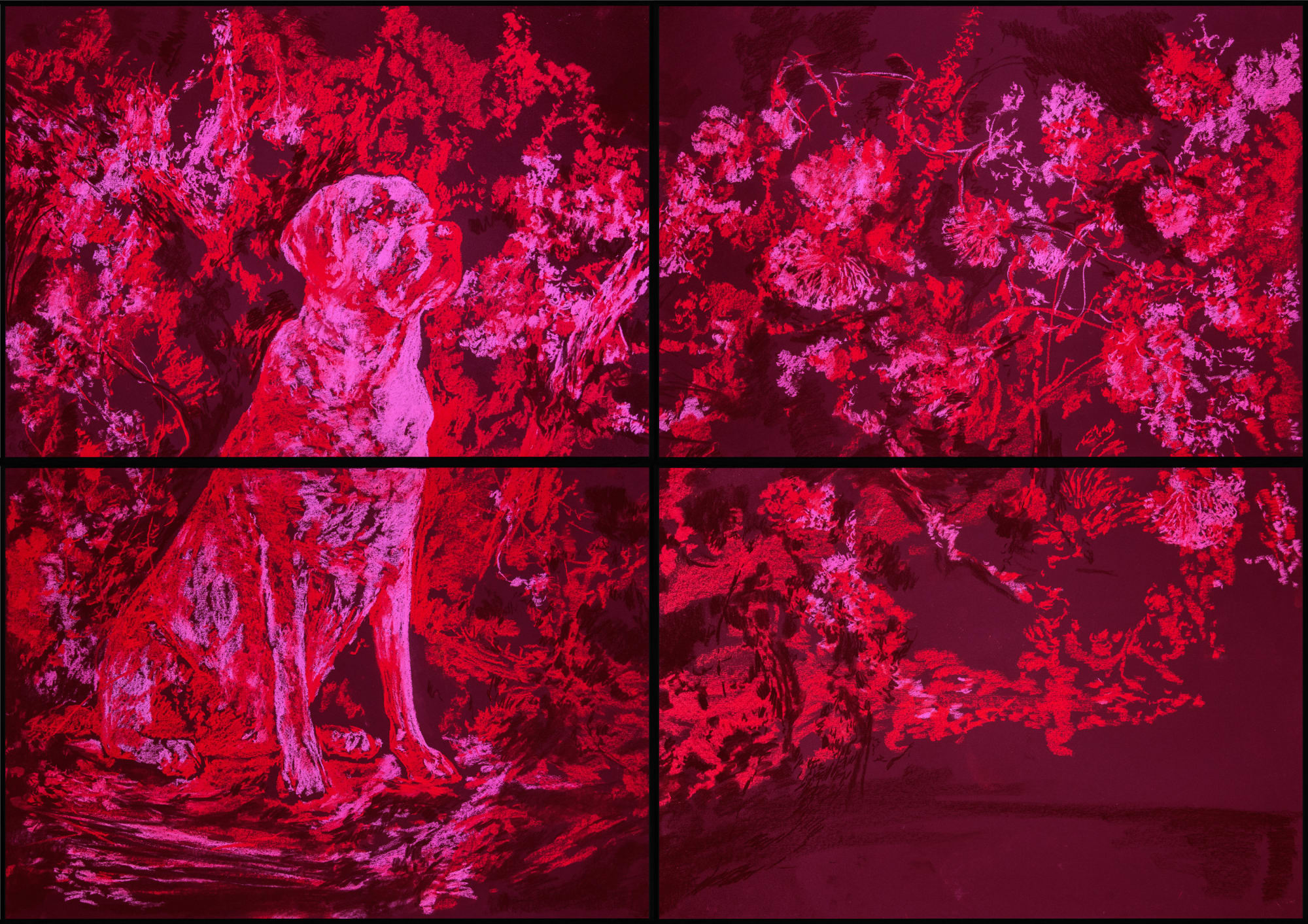 António Faria, Untitled, 2025