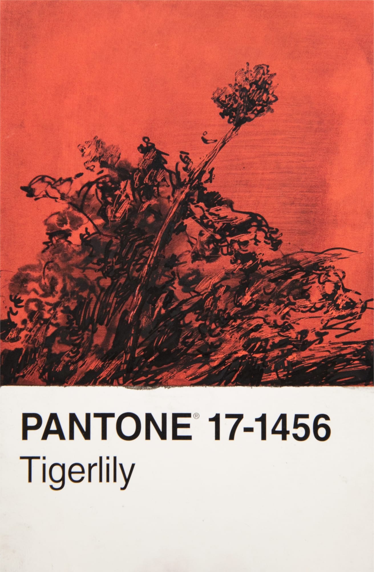 António Faria, PANTONE 17-1456 Tigerlily, 2024