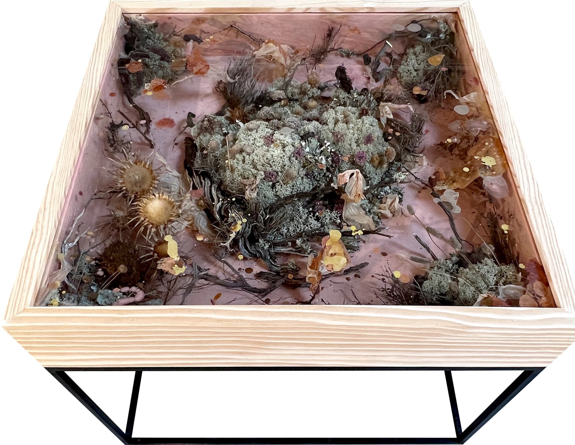 Salomé Nascimento, Human, 2022