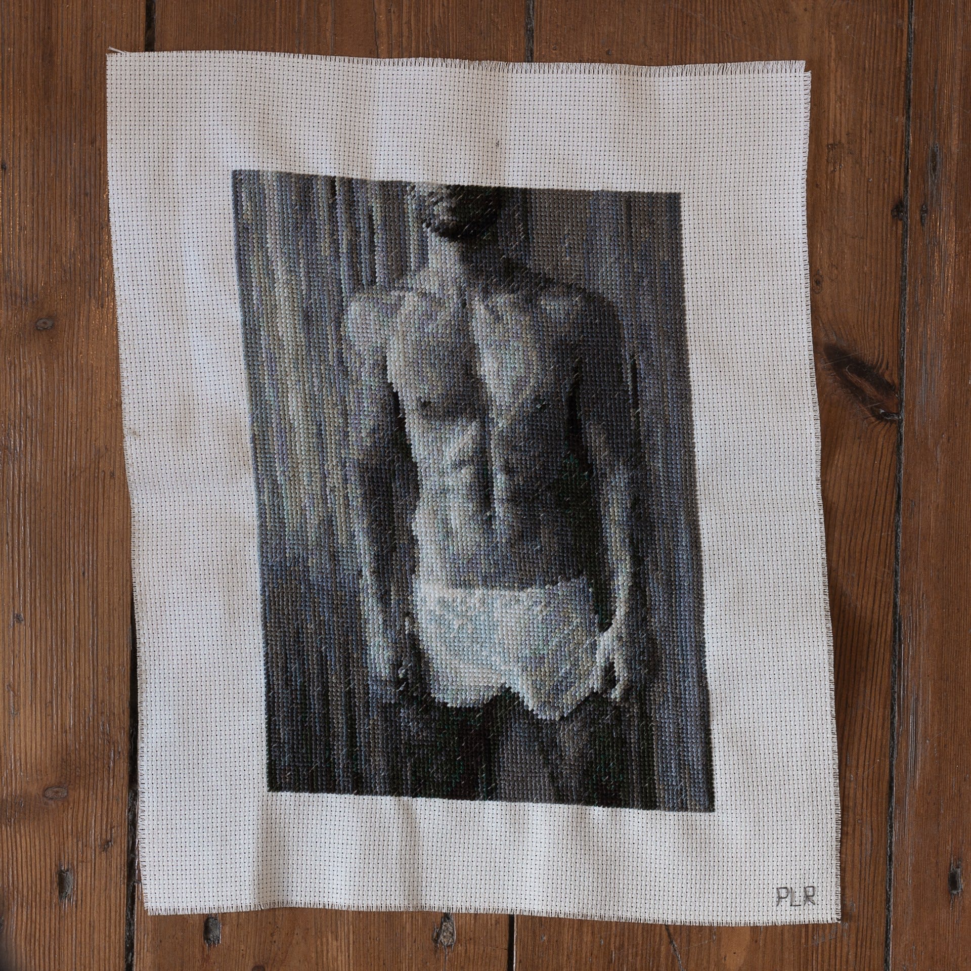 Pierre le Riche, Screen grab (abs), 2020