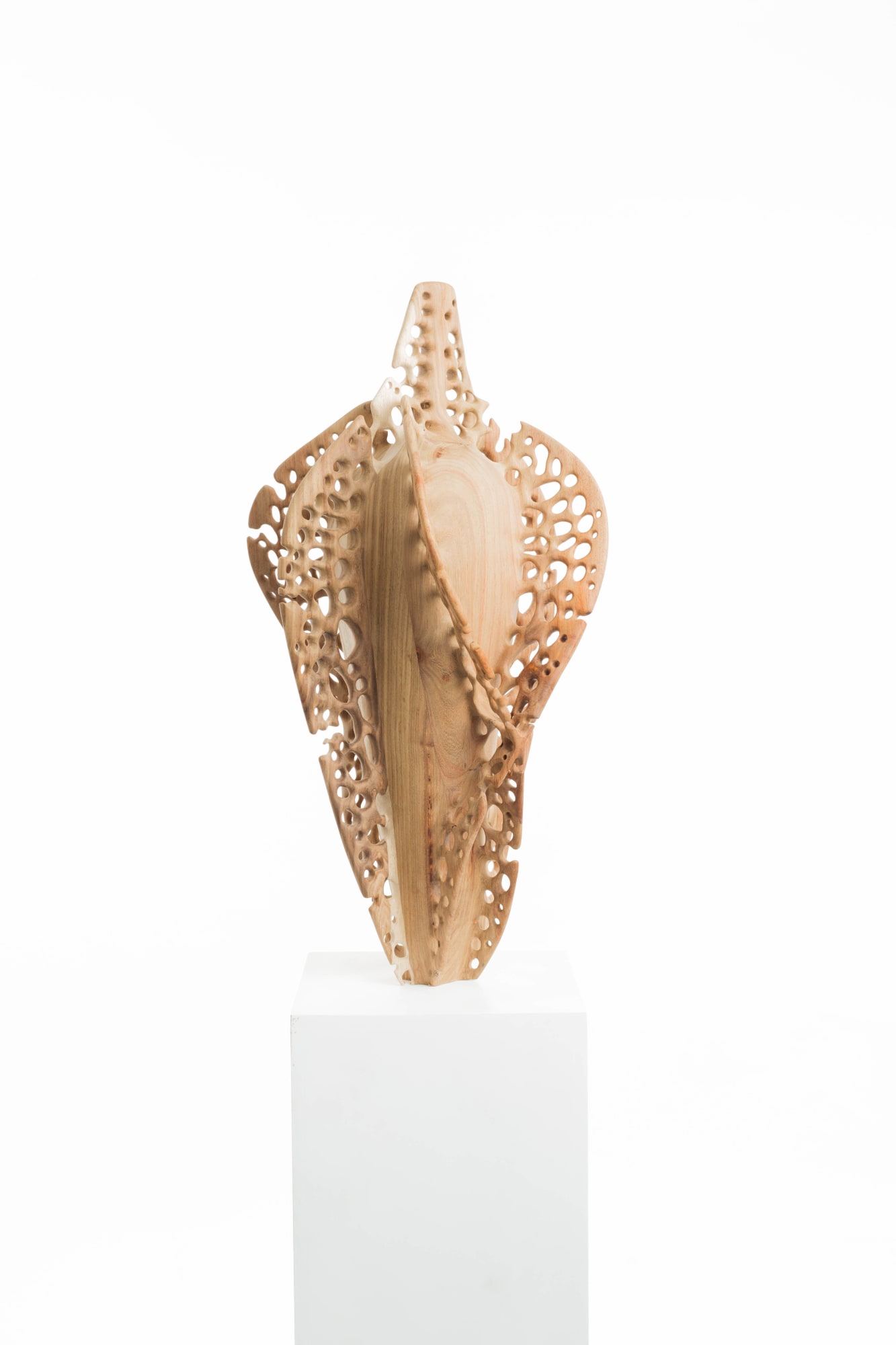 Karlien van Rooyen and Driaan Claassen, Hairs on a blade of grass, 2023