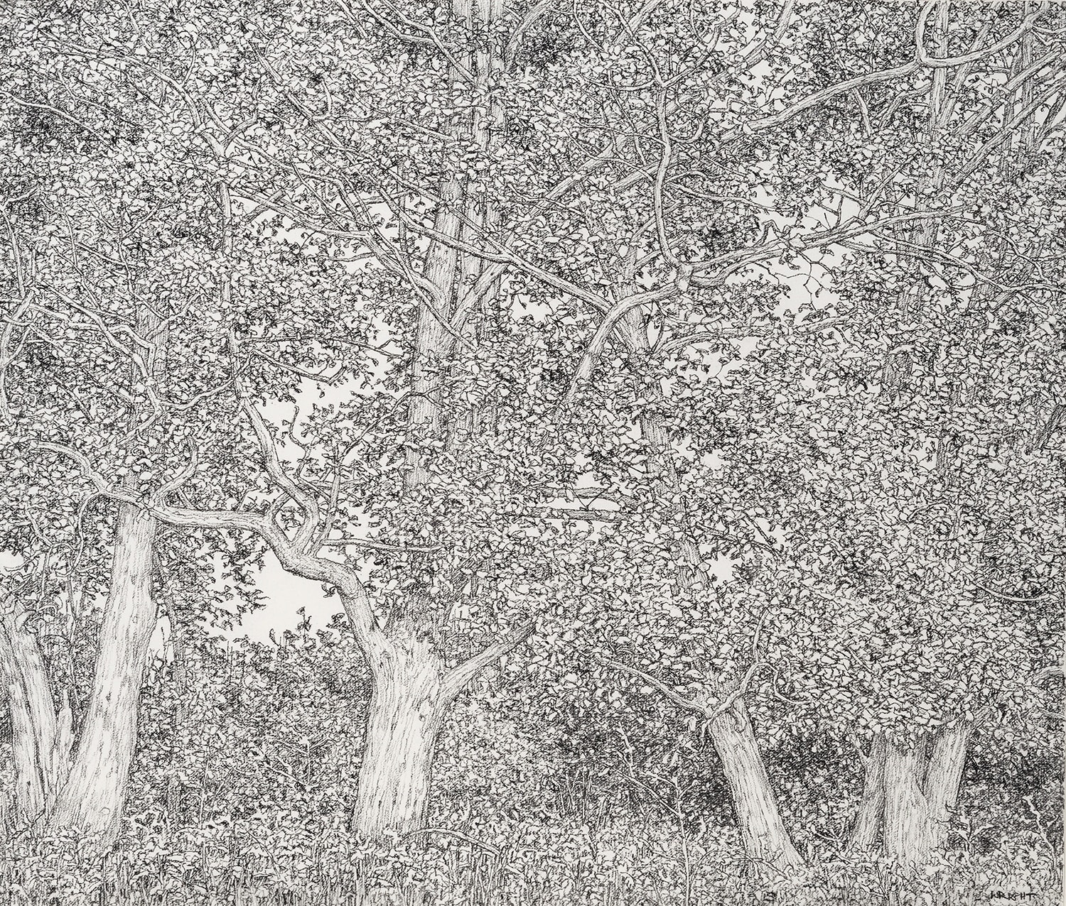 Roy Wright PS, The Rhythm of the Autumn Leaves