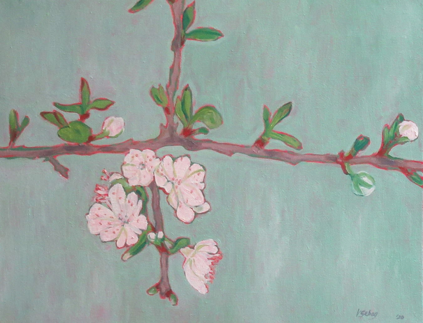 Victoria Sebag, Crux (Hawthorn Blossom)