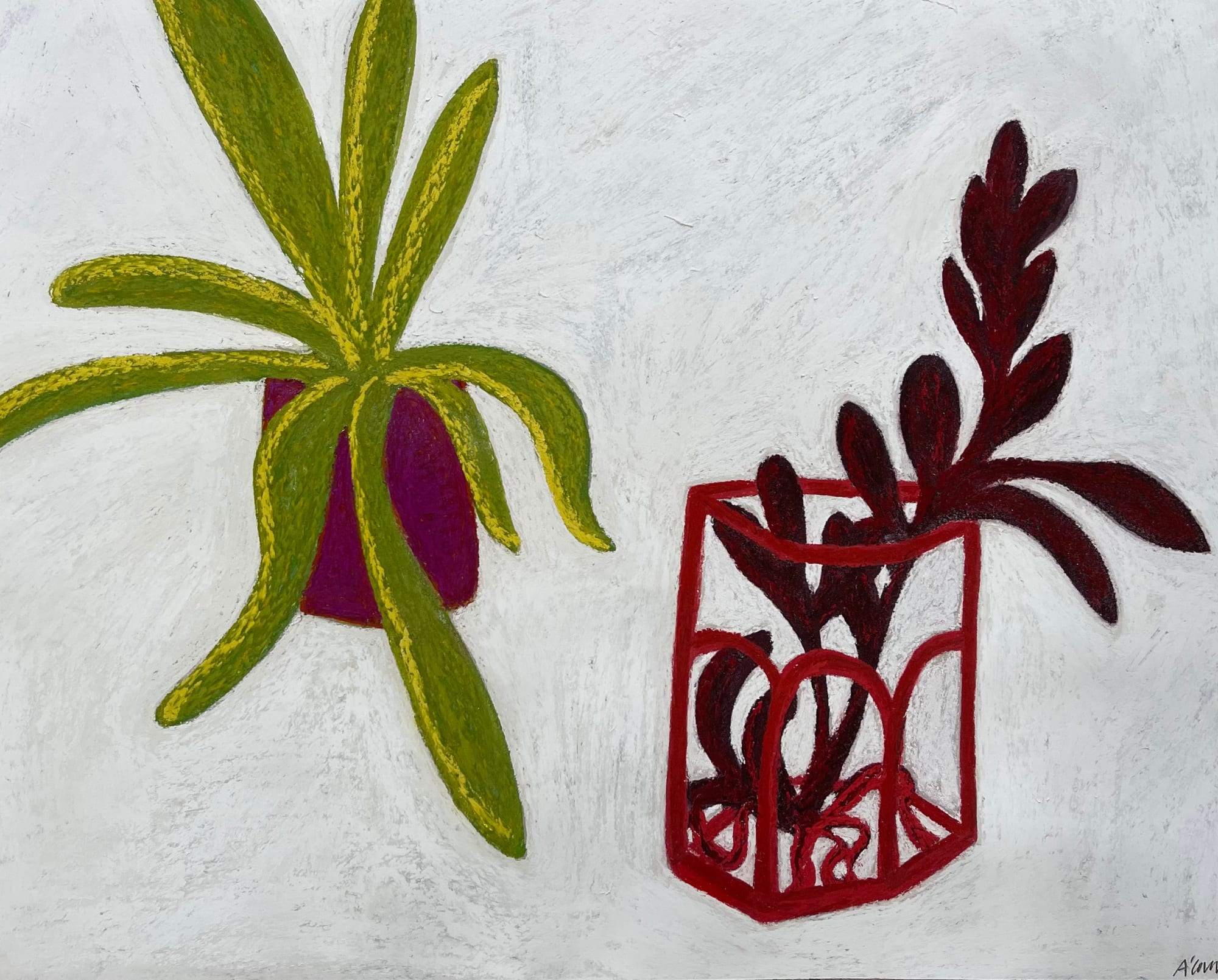 Angela A'Court PS, Maggie's Plants