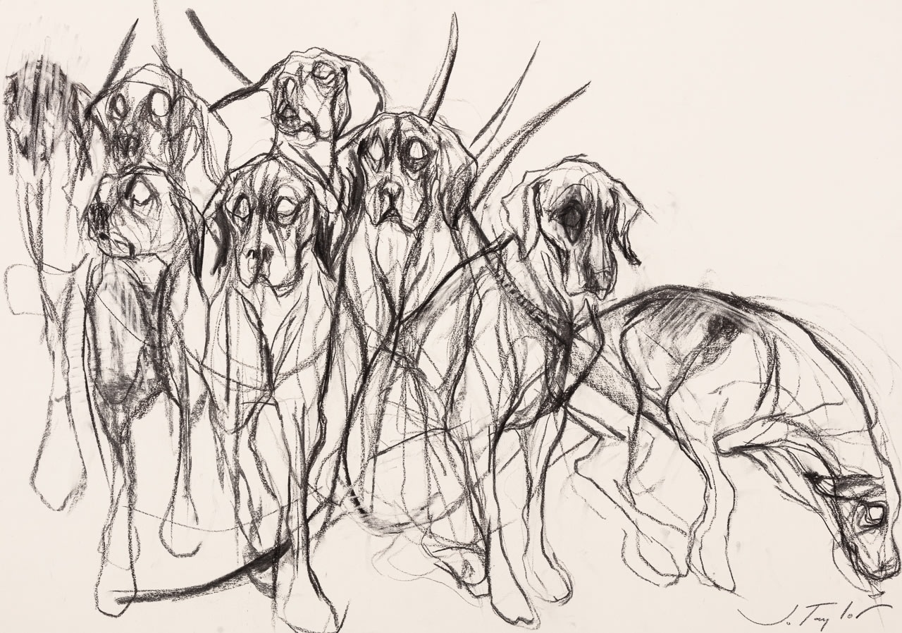 Jo Taylor, Hounds of Love II