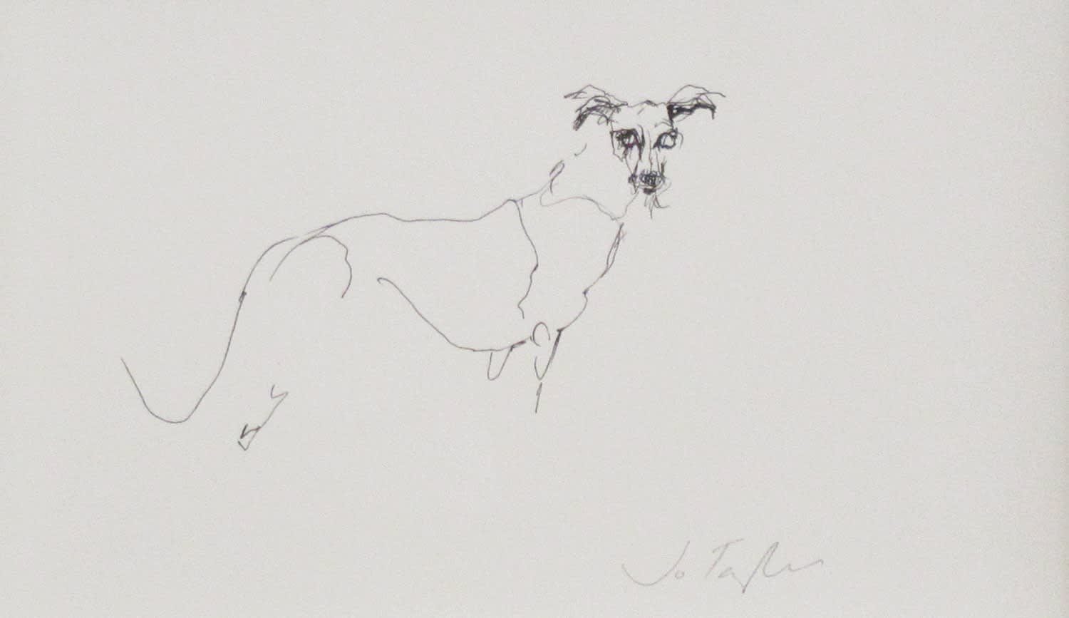 Jo Taylor, Lurcher