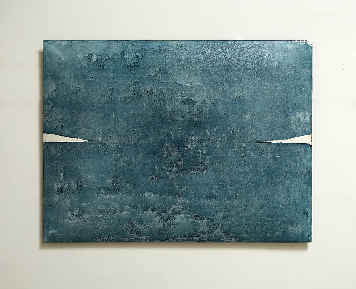 蘇笑柏, 一夕之間, 2018