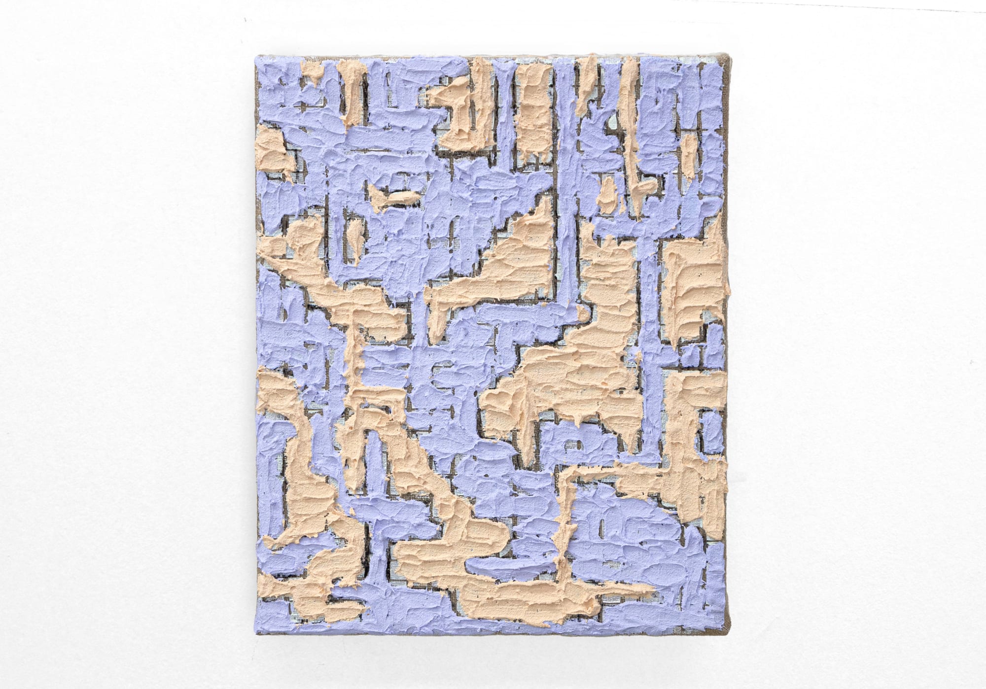 Paula Valdeón, El perfil de un pavo anaranjado, 2024