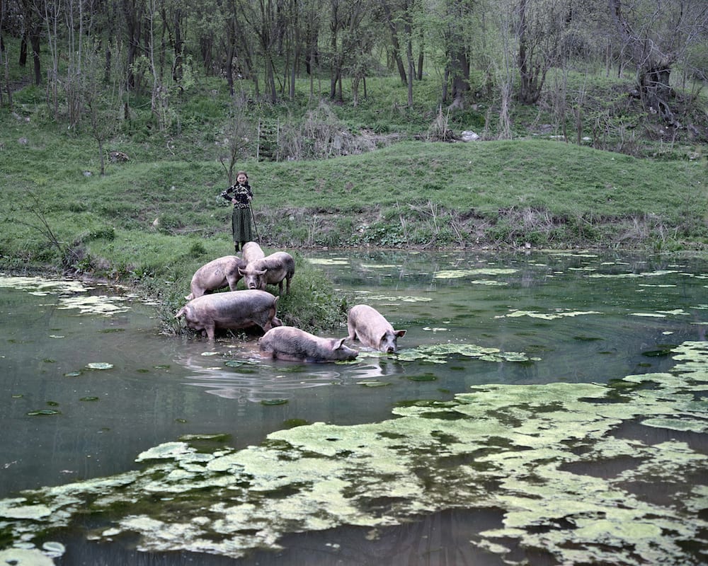 Tamas Dezso, Victoria, 2014 Print Sales Gallery The Photographers
